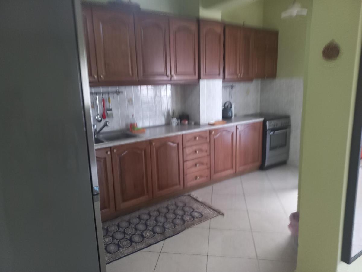 Big Apartment Next To Olympus Mountain Літохоро Екстер'єр фото